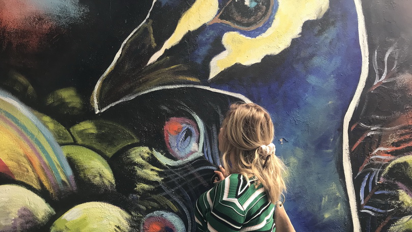Limerick City Street Art