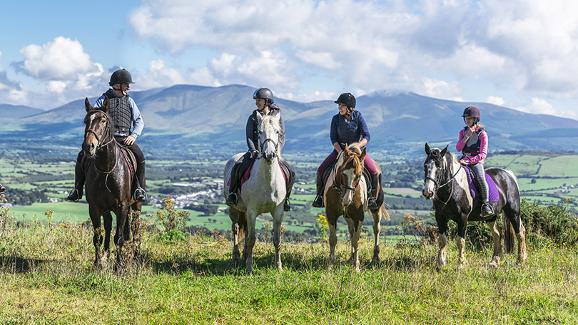 Ballyhoura Horse Riding