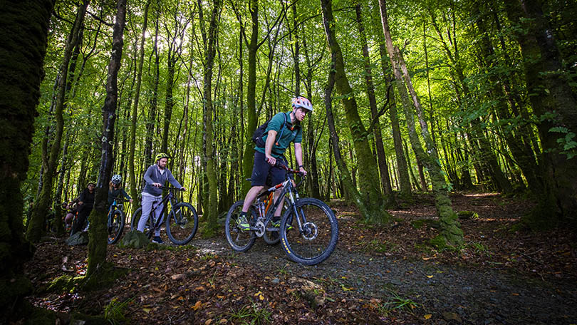 Group of friends cycling in the woods at Ballyhoura Forest Park, County Limerick
